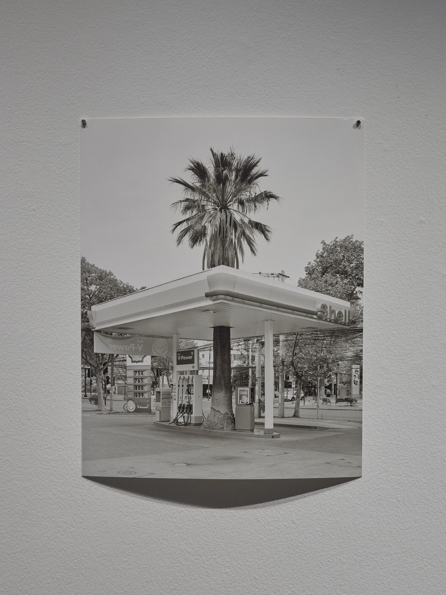 MUNDO TOKAS — foto 13