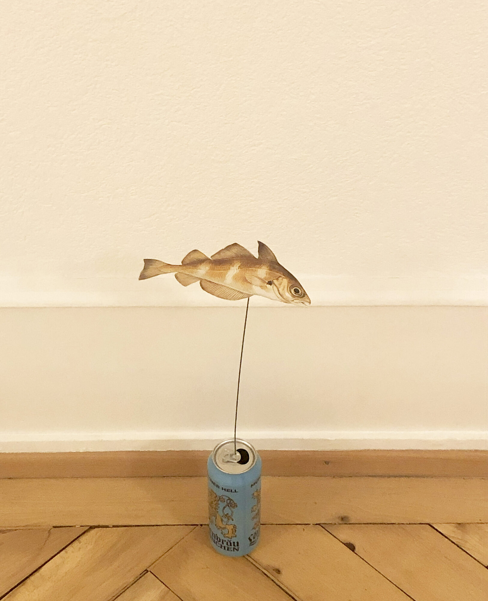 Some forms nature can take, 2025 — foto 5