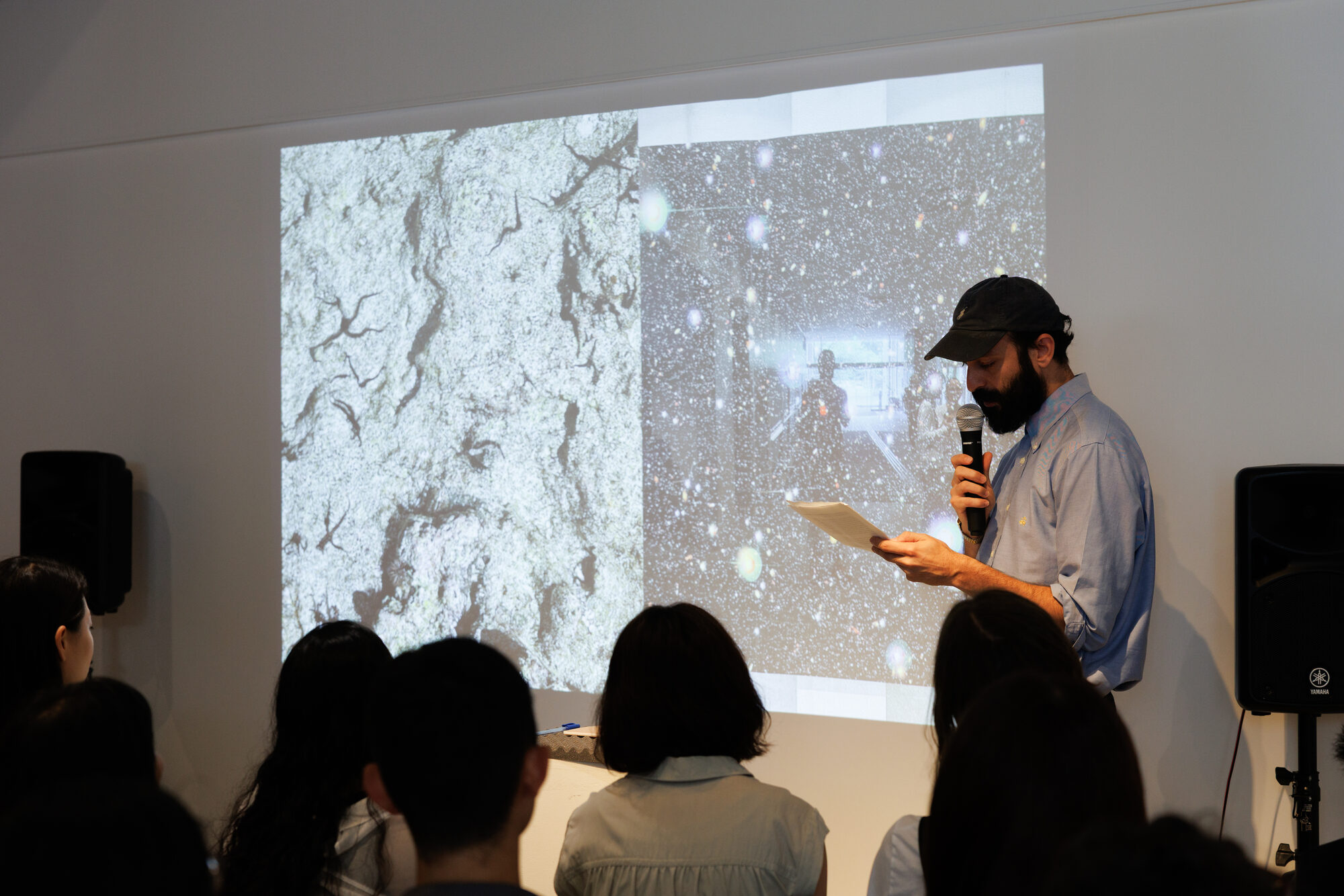 Piedras y Viruses, 2026 — foto 1