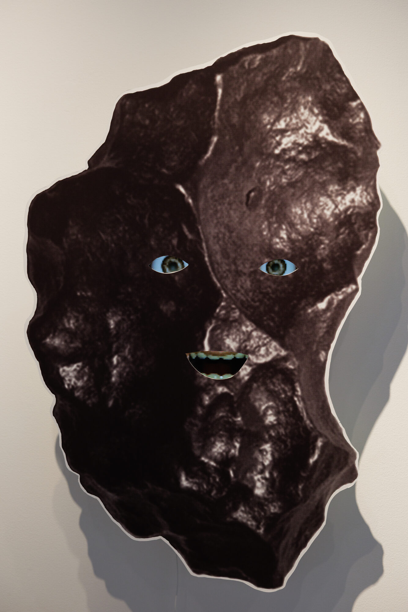 Piedras y Viruses, 2026 — foto 6
