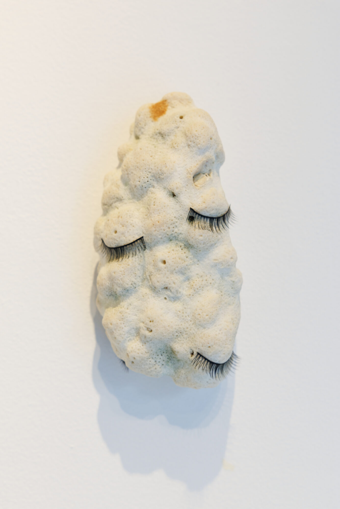 Piedras y Viruses, 2026 — foto 10