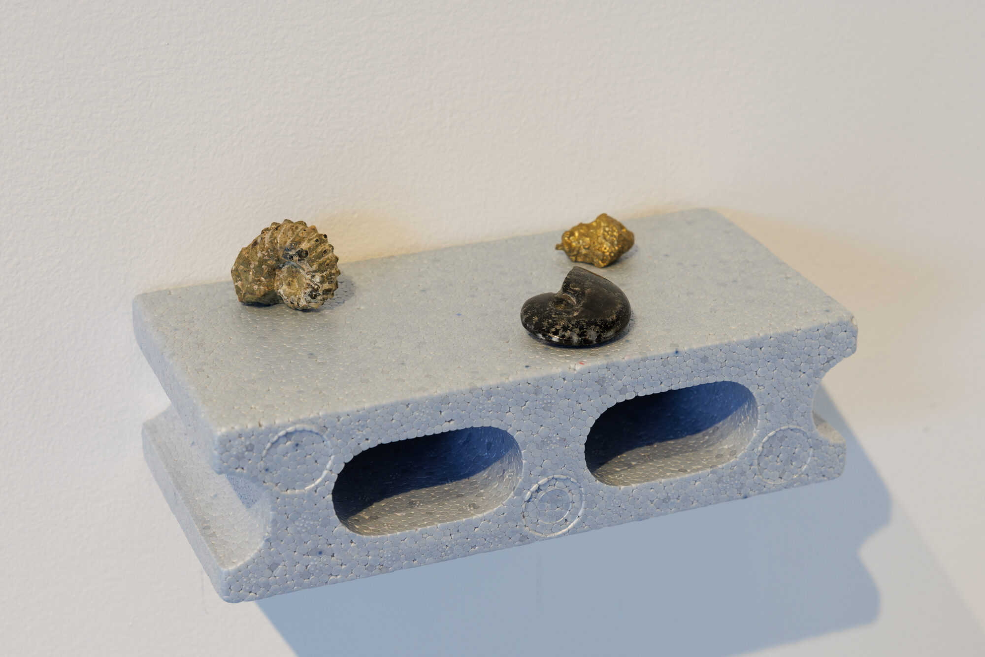 Piedras y Viruses, 2026 — foto 18
