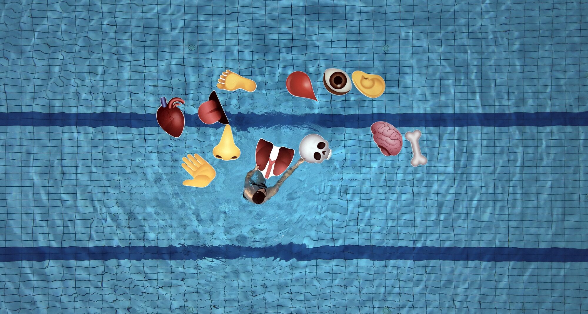 Órganos emoji, 2026 — foto 2