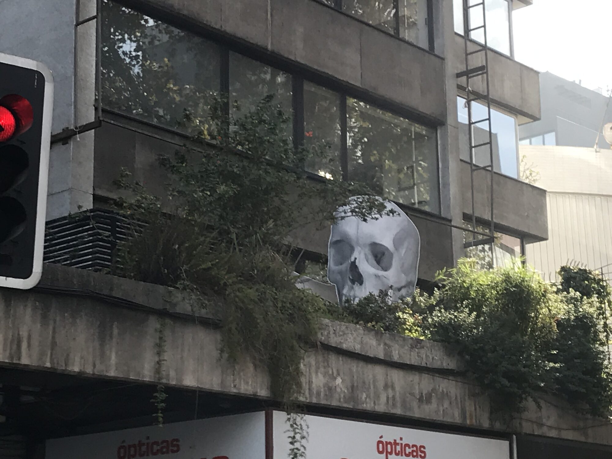 Dolores, Calambres y Fracturas, 2021 — foto 5