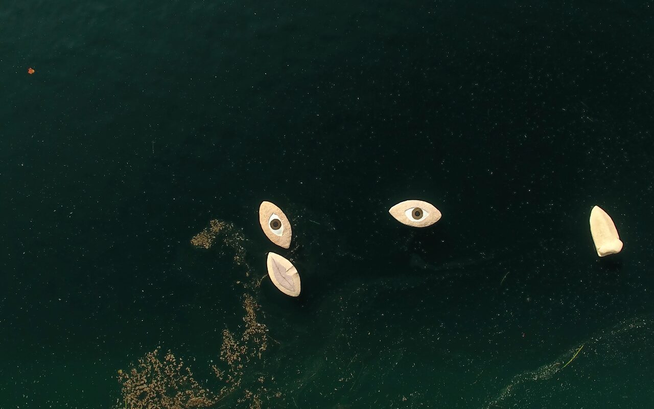 Human Face, 2019